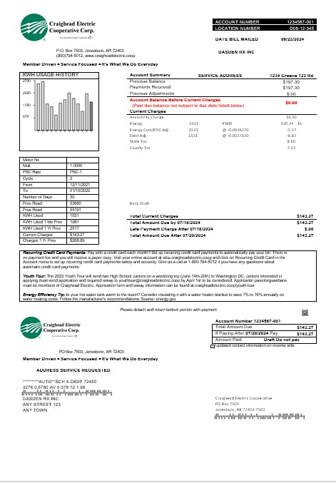 USA Craighead Electric business utility bill template in Word and PDF formats